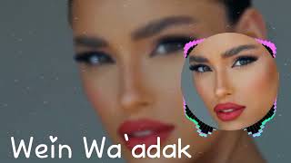 Wein Wa Adak Remix 2024  Emotional Depth by Nour AlFayed  Original Track by Sami Joud [upl. by Reiche]