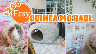 HUGE 200 ETSY GUINEA PIG HAUL ❤ [upl. by Lorenzana]