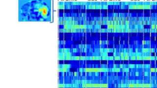 brainmusic fmri into musical sound [upl. by Kyle]