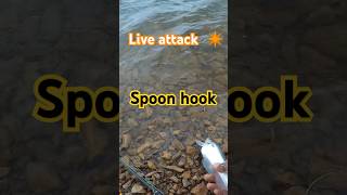 Live attack on spoon hook 😱😱spoonhookfishingfishingbigfishshortsfishingspoonhookshorts [upl. by Vtehsta]