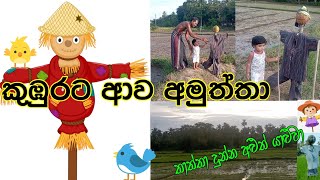 හදිසියේම ශයිවි බබාට තාත්තා හදපු පඹ යාළුවාකුරුල්ලන් බයකරමු 🦜🦜🦜 20241005 [upl. by Yenal]