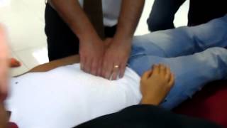 Osteopathy International course  Visceral Manipulation  Mesentry Technique [upl. by Penoyer437]