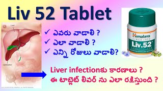 Liv 52 Tablet full details in Telugu  Uses Working Dosage Side effects Precautions Composition [upl. by Dymoke]