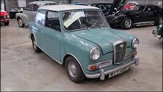 1967 WOLSELEY HORNET  MATHEWSONS CLASSIC CARS  17 amp 18 NOVEMBER 2023 [upl. by Machutte]