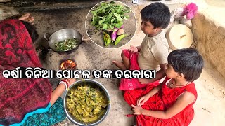 ବର୍ଷା ଦିନିଆ ପୋଟଳ ଡଙ୍କ ତରକାରୀ l Potala Danka Recipe [upl. by Fulks]