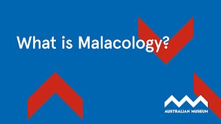 What is Malacology [upl. by Sesom]