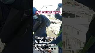 Bukan Maling tapi Perbaikan Jendela Anjungan Kapal AHTS [upl. by Delano855]