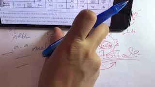 Exam génétiqueexpliquer la maladieméioseCourbe variation qté ADNformule chromosomique [upl. by Niehaus]