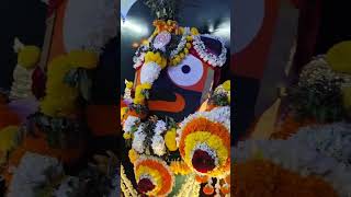 ଜୟ ଜଗନ୍ନାଥ jagannath [upl. by Abramo938]