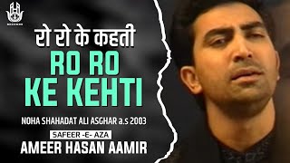 Ameer Hasan Aamir  Ro Ro ke Kahti  Noha 2003 [upl. by Eiveneg914]