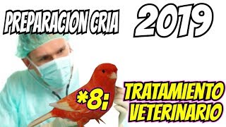 TRATAMIENTO VETERINARIO [upl. by Daye102]