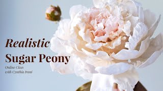 How to make a sugar peony flower [upl. by Liddle889]