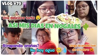 VLOG 79 ASI MIS DIAS EN NOGALES 🌵 [upl. by Rhetta]