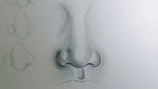 How to Draw a Nose [upl. by Analra]