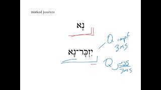 15b Jussive Cohortative HebrewDaybyDay [upl. by Ganley]