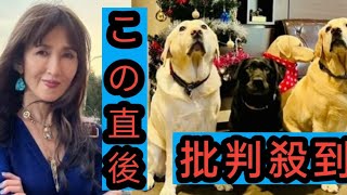 工藤静香さん 日本補助犬協会に寄付 「今必要な物を伺い、今回はオイルヒーター4台となりました 老犬たちが暖かく過ごせると嬉しいです❤❤」 [upl. by Ainyt]