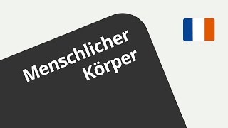 Augen Nase Bein Unser Körper auf Französisch  Französisch  Wortschatz und Konversation [upl. by Yamauchi]