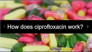 How does ciprofloxacin work What is the mechanism [upl. by Roice]