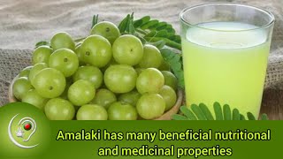 Amalaki has many beneficaial nutritional and Medicinal properties [upl. by Maighdlin]