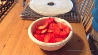 Candied dehydrated apples [upl. by Zetana]