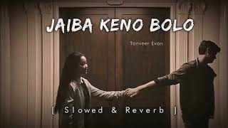 Jaiba keno bolo  slowed reverb MHS LOFI VIBES 2O [upl. by Econah]