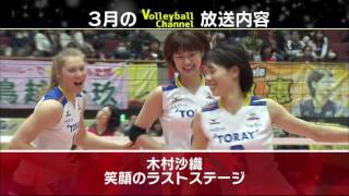 Volleyball Channel 2017年3月放送内容amp 4月予告 [upl. by Murat]