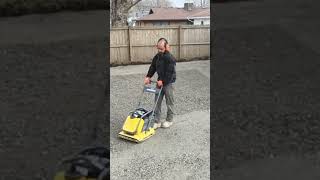 Compacting Base Gravel for Pavers Landscaping pavers landscaping [upl. by Sager]