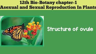 12th biobotany chapter1 Asexual And Sexual Reproduction In Plants STRUCTURE OF OVULE [upl. by Karalee]