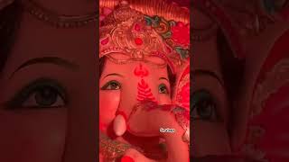 Ganesh ganesh bappa ganapati trendingshorts ytshorts viralvideo [upl. by Yojal]