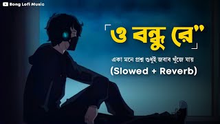 O Bondhu Re SlowedReverb  একা মনে প্রশ্ন শুধুই  Tor Naam  Zubeen Garg  Bong Lofi Music [upl. by Nnylyam]