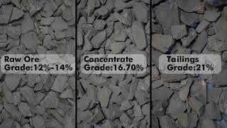 AMD® ICS Series XRTSorting Machine Optimizing Manganese Ore Processing [upl. by Lisha]