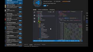 How to add icons to your vscode project [upl. by Buyse]