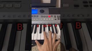 Directed by ROBERT BWEIDE  Piano Version shorts pianocover pianotutorial [upl. by Nicolai]