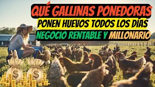 Qué gallinas ponedoras ponen huevos todos los días guia completa desde cero [upl. by Bridge677]