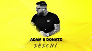 Adam S Donatz  SESCHI [upl. by Culver]