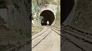 Vande BHARAT Train Himalayan shortvideo shorts short youtubeshorts youtuber train video [upl. by Edmondo]