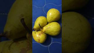 Pear fruit Malayalam  Kadhayum Porulum [upl. by Assirehs]