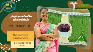 Anatomy of Flowering Plants  Part 10  Dicotyledonous Stem  NEET Tamil [upl. by Nicolea661]