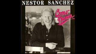 Los Amantes  Nestor Sanchez  Salsa Romantica [upl. by Craw]