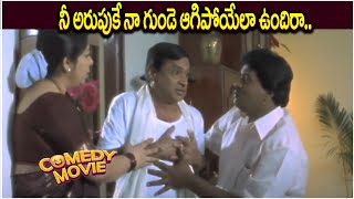 Hungama Movie  Sunil amp MSNarayana Best Comedy Scene  iDream Eluru [upl. by Asirret]