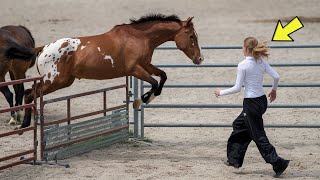 Horse Goes Crazy When He Sees This Girl – The Reason Surprised His Owner [upl. by Janey]