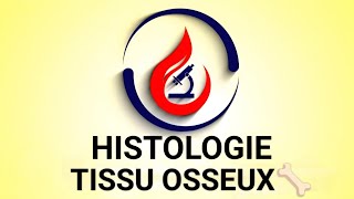 HISTOLOGIE 😷🔬 TISSU OSSEUX🦴  1ÈRE MÉD🩺PHARMA💊CHIRDENT🦷 [upl. by Suhsoj527]