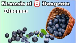 Blueberries Nemesis of 8 Dangerous Diseases [upl. by Orvan]