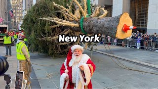 NYC Rockefeller Center Christmas Tree 2024 Installation Video 🎄 New York City 🎅🏼 [upl. by Bernete343]