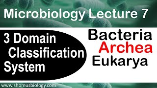 Microbiology lecture 7  3 domain classification system  Archea bacteria and eukarya [upl. by Abrams]