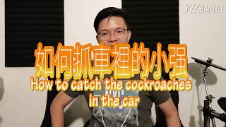 How to catch the cockroaches in the car 如何抓車裏的小强 [upl. by Mieka384]