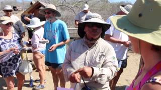 Galapagos Videos Post Office Bay [upl. by Akemhs117]