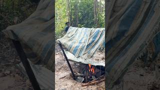 That’s primitive living food primitive survivalskills primitivestyle cooking videoviral [upl. by Kathi]