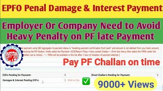 Employer PF Damages  Interest Penalty Payment  Due to late Deposit of PF Challan Payment 7Q  14B [upl. by Uria685]