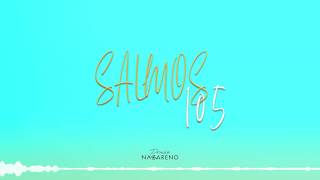 Salmos 105  Praise Nazareno  VIDEO LYRIC OFICIAL HD [upl. by Cecelia]